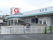 ホームセンター「コメリまで1100m」