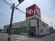 ドラッグストア 「スギ薬局　鏡島店まで1500m」