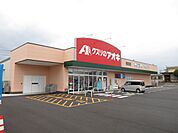 ドラッグストア 「クスリのアオキまで40m」