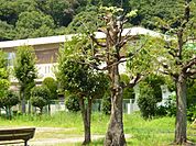 幼稚園、保育園「梅林保育園まで570m」