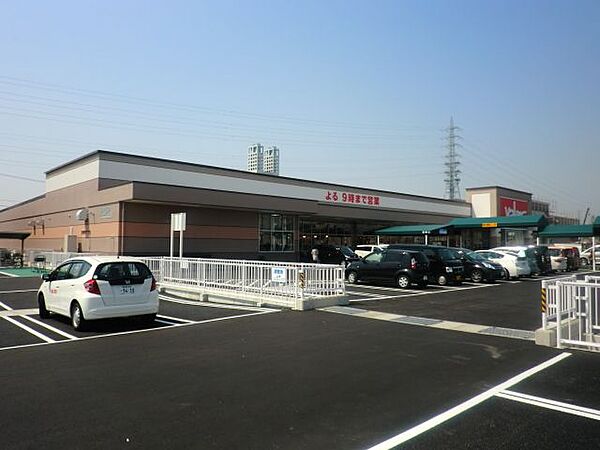 画像17:ショッピング施設「バロー　中ノ江店まで1300m」