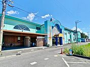 幼稚園、保育園「羽島幼稚園まで919m」