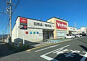 ドラッグストア 「V・drug坂本店まで846m」
