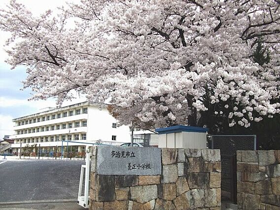 バラッド_周辺_0