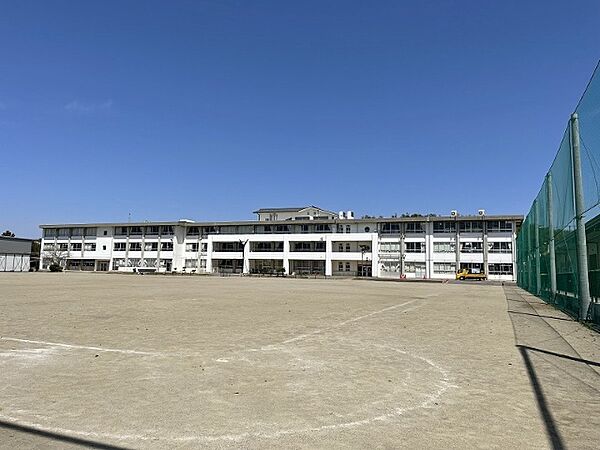 画像17:小学校「関市立富岡小学校まで768m」