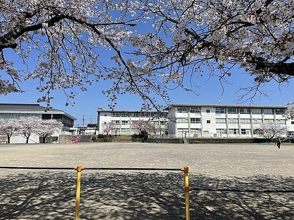 画像18:小学校「関市立倉知小学校まで406m」