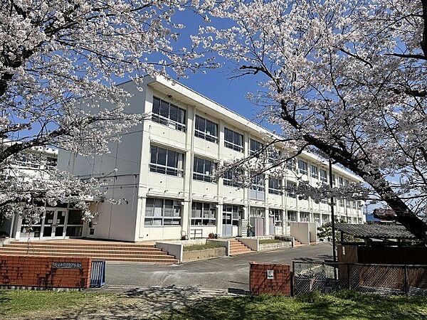 画像22:小学校「関市立桜ケ丘小学校まで681m」