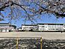 周辺：小学校「関市立倉知小学校まで707m」