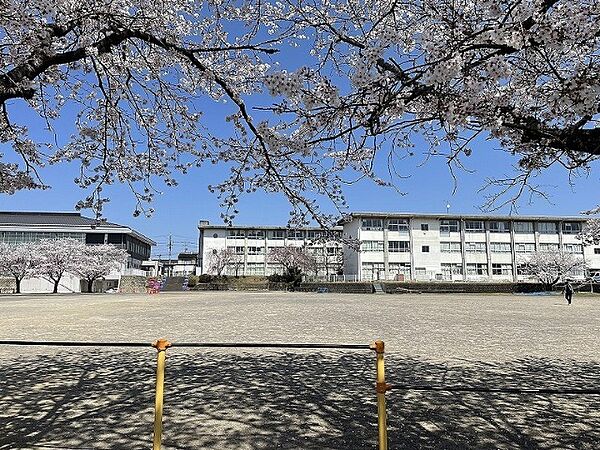画像22:小学校「関市立倉知小学校まで585m」