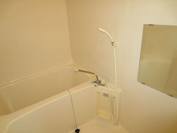 画像5:ミラー付バスルーム