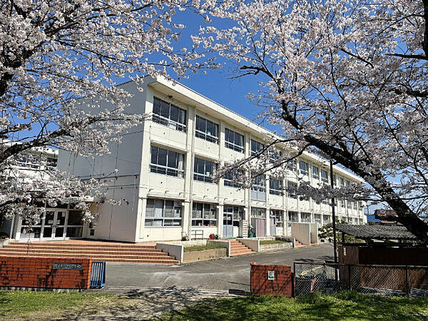 画像17:小学校「関市立桜ケ丘小学校まで1181m」