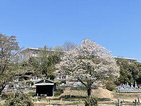 リバーサイド藍川  ｜ 岐阜県美濃市横越（賃貸マンション3LDK・4階・72.87㎡） その19