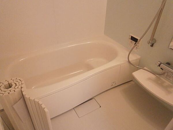 画像6:賃貸では珍しい一坪風呂