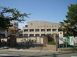 ライオンズ四日市セントマークス