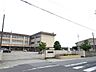 周辺：小学校「市立南立誠小学校まで65m」