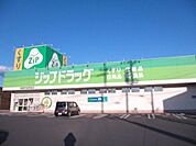 ドラッグストア 「ジップドラッグまで350m」