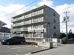 グリーンフォレスト