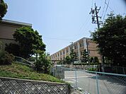 小学校「桑名市立大成小学校まで923m」
