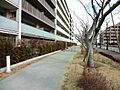 前面棟なし日当...