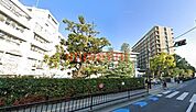大阪医科薬科大学病院 823m