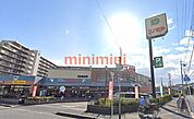 コノミヤ高槻店 377m
