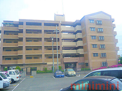 外観 外観