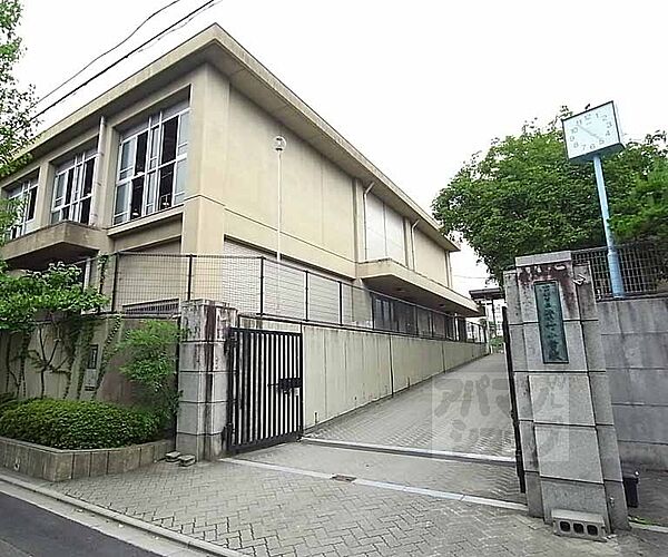 周辺：紫竹小学校まで531m