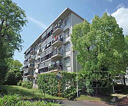 バス 高野下車 徒歩5分の賃貸マンション