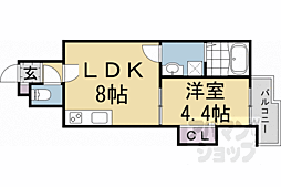 京福電気鉄道北野線 等持院・立命館大学衣笠キャンパス前駅 徒歩3分の賃貸アパート 1階1LDKの間取り