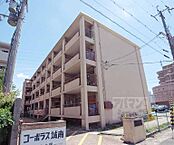 京都府京都市伏見区竹田浄菩堤院町：物件画像／ウインズリンク株式会社　アパマンショップ京都駅前店　