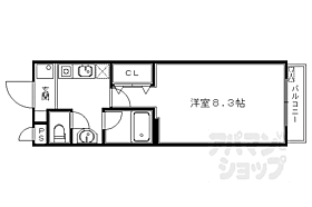 京都府京都市右京区西京極葛野町（賃貸マンション1K・2階・24.30㎡） その2