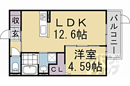 JR山陰本線 円町駅 徒歩8分の賃貸アパート 1階1LDKの間取り