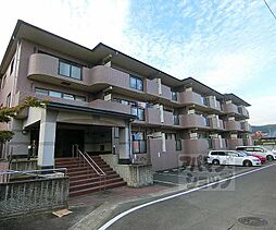 ミレニアム加納