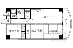 コンフォール 5階/5B