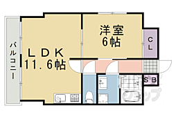 ＣＯＲＴ　ＵＥＳＨＯ 5階