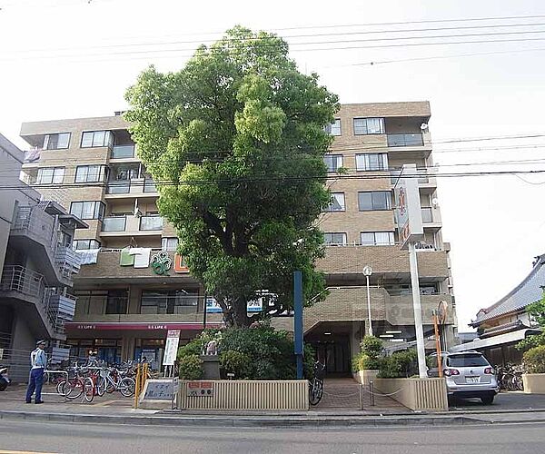 イヌイ星の子ハイツ 510｜京都府京都市上京区中立売通日暮東入新白水丸町(賃貸マンション3LDK・5階・64.46㎡)の写真 その3