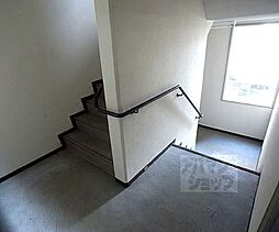 6 / 9
