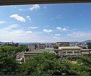 目の前に建物がないのでとても良い眺めです