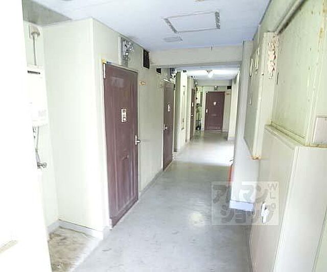 7 / 25