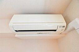 ヴァーシュ　コケット