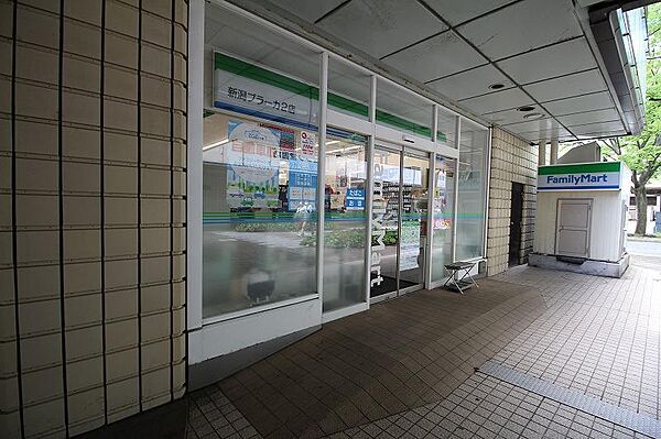画像21:ファミリーマート新潟プラーカ2店(245m)