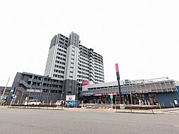 ダイアパレス白山（203）