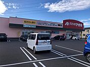 クスリのアオキ 東鯖江店（383m）