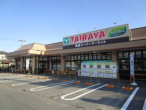 画像30:【スーパー】ワッツウィズ川島TAIRAYA店まで861ｍ