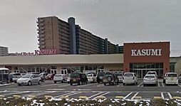 【スーパー】カスミ万博記念公園駅前店まで3345ｍ