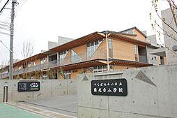 【小学校】陽光台小学校まで1233ｍ