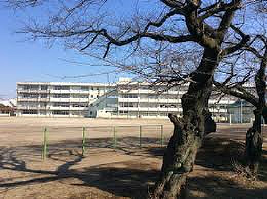 画像26:【中学校】土浦市立第三中学校まで685ｍ