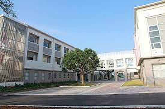 周辺：【高校】茨城県立土浦第三高等学校まで9391ｍ