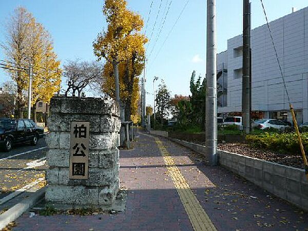 グランディール 103｜千葉県柏市戸張(賃貸アパート1LDK・1階・36.00㎡)の写真 その29