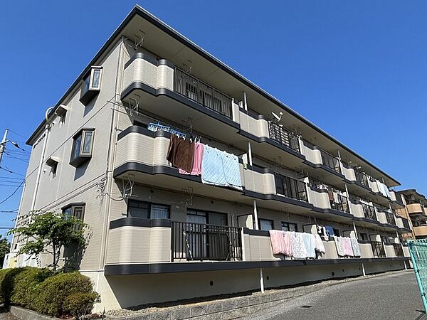 ストークマンション 306｜千葉県柏市緑台(賃貸マンション3LDK・2階・60.01㎡)の写真 その1